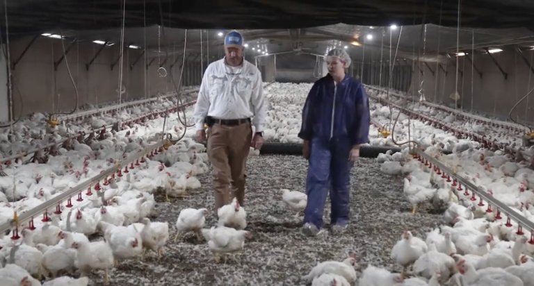 Case Farms-